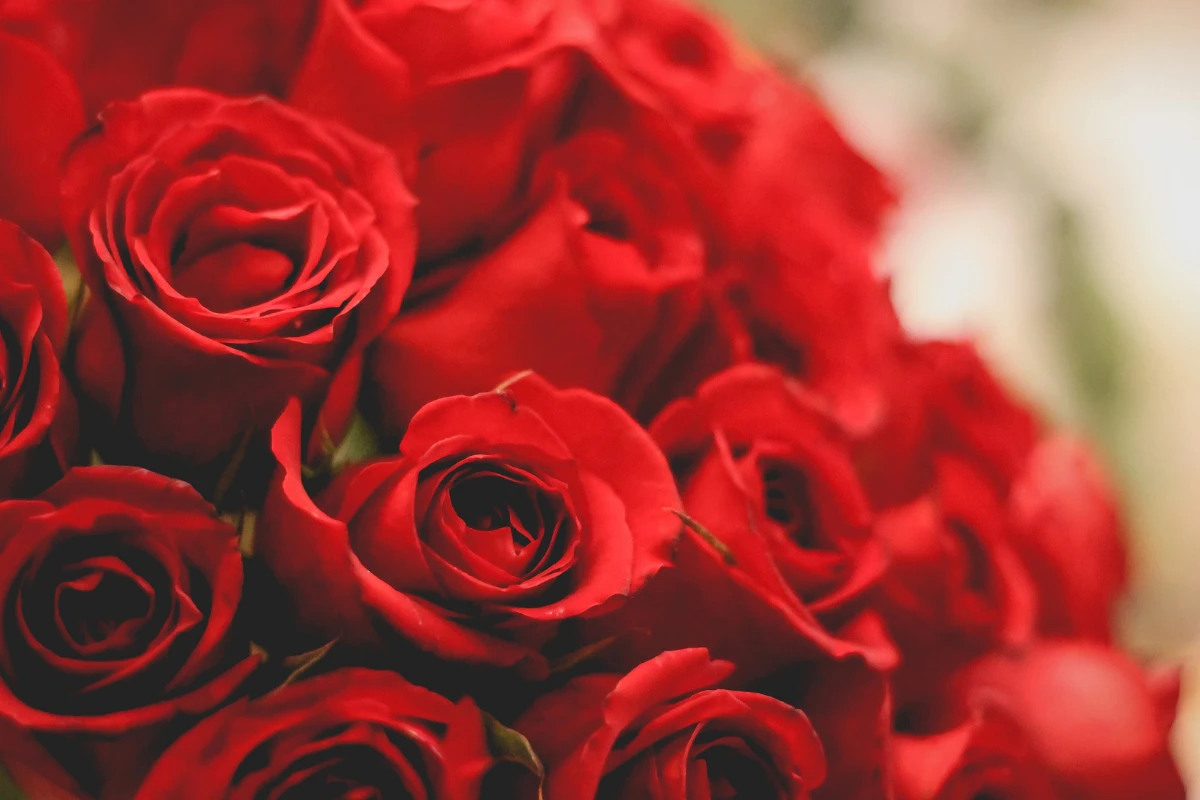 ramos-novia-rojo-pasion